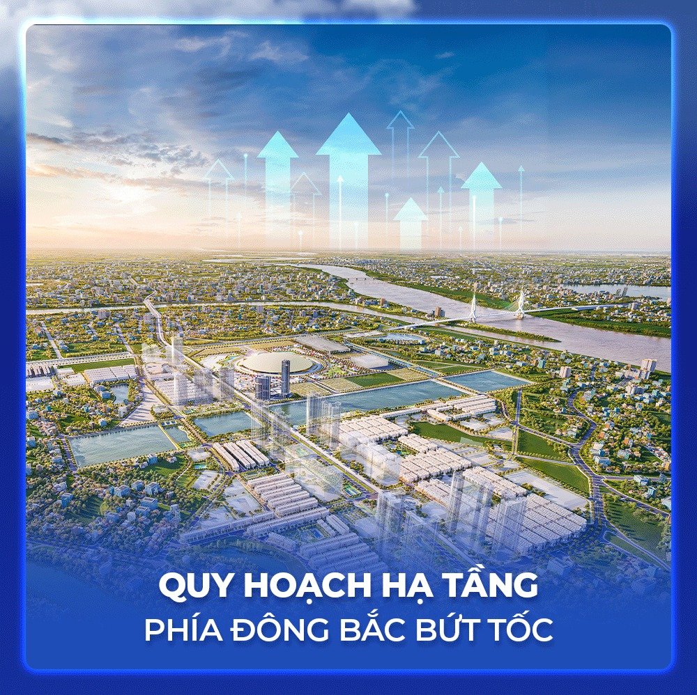 có nên đầu tư vin cổ loa 1.jpg